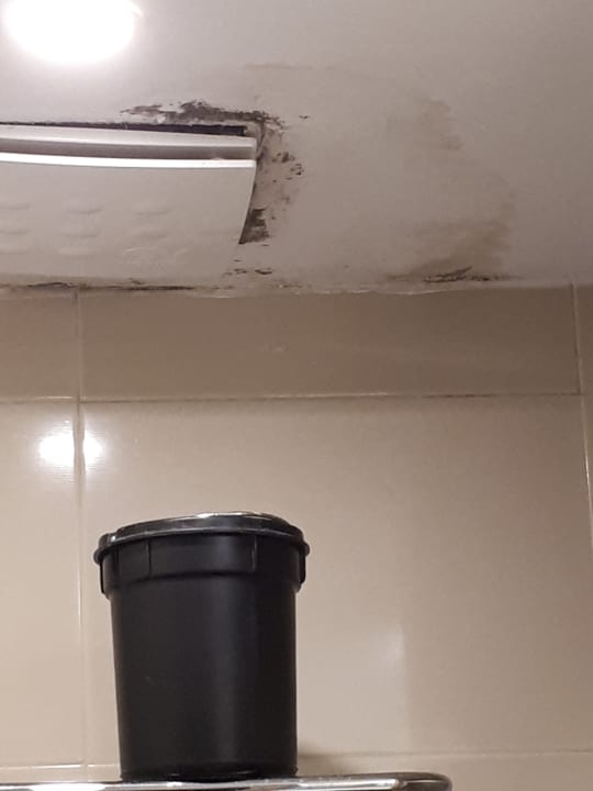 Zimmer Hotel Zorna Plava Laguna