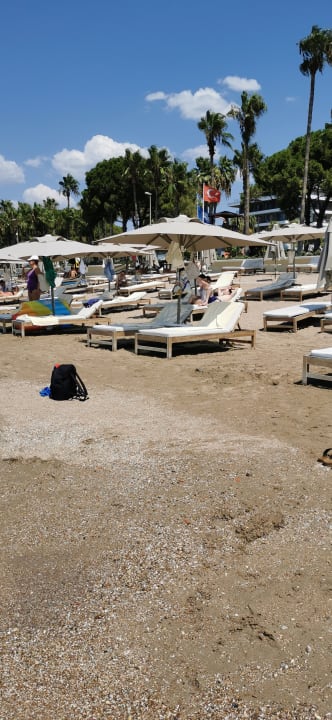 Strand Acanthus Cennet Barut Collection