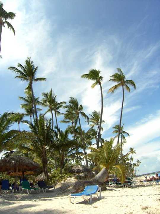 Hotel Grand Palladium Palace Resort, Spa & Casino Hotel Grand Palladium Palace Resort, Spa & Casino