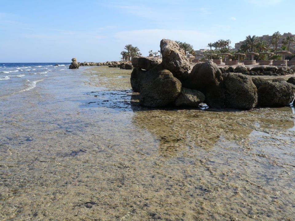 Strand bei Ebbe Pickalbatros Citadel Resort