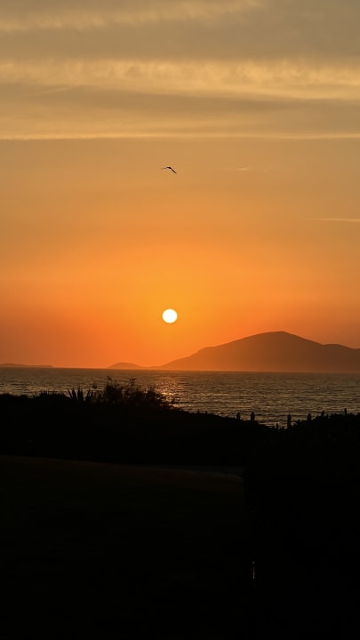 Ausblick Neptune Luxury Resort