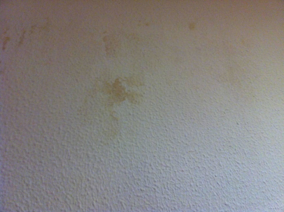 Schimmel auf dem ZImmer Hotel Mirador