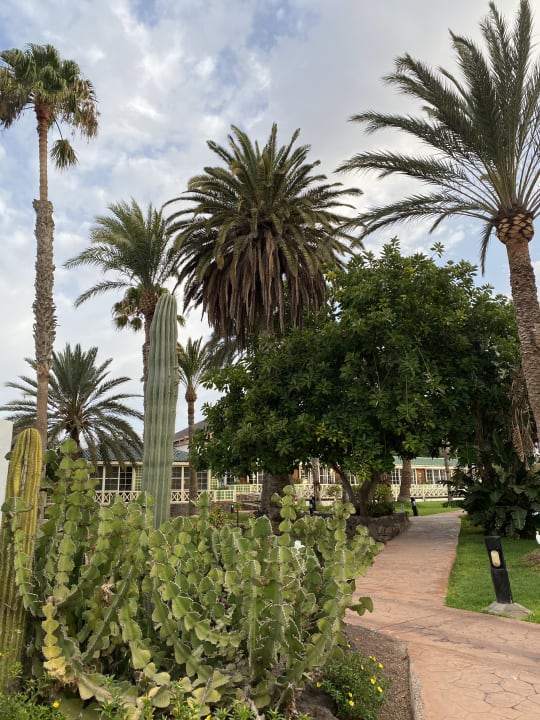 Gartenanlage Aldiana Club Fuerteventura