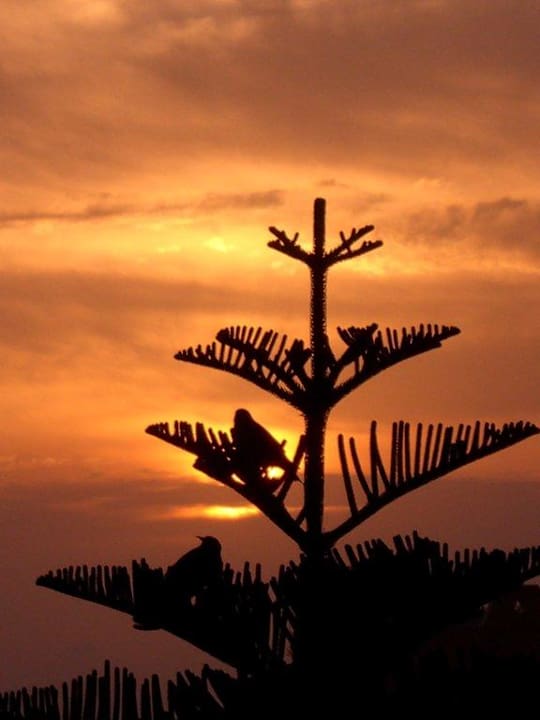 Kleine Freunde  Mahdia Beach & Aquapark