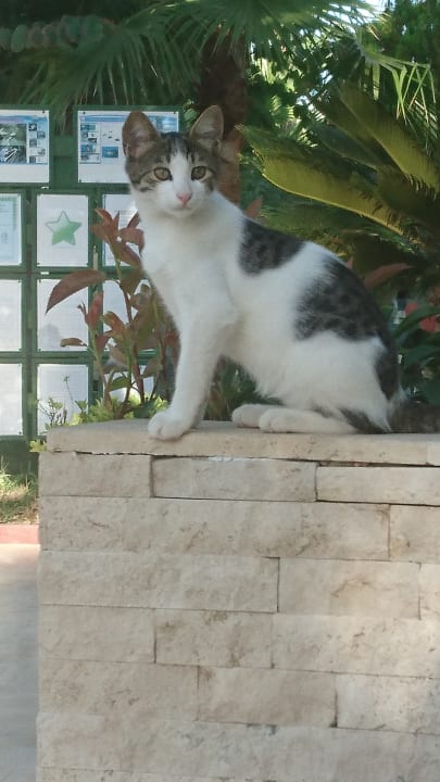 Gartenanlage Saphir Resort & Spa