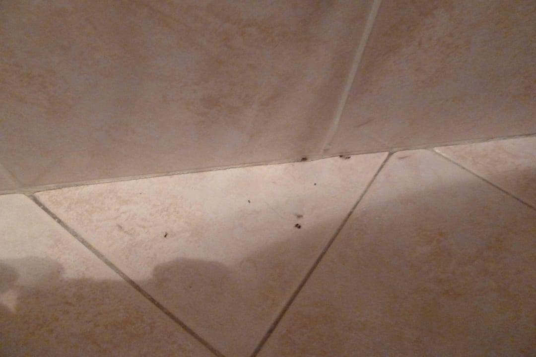 Ameisen Residence La Rotonda