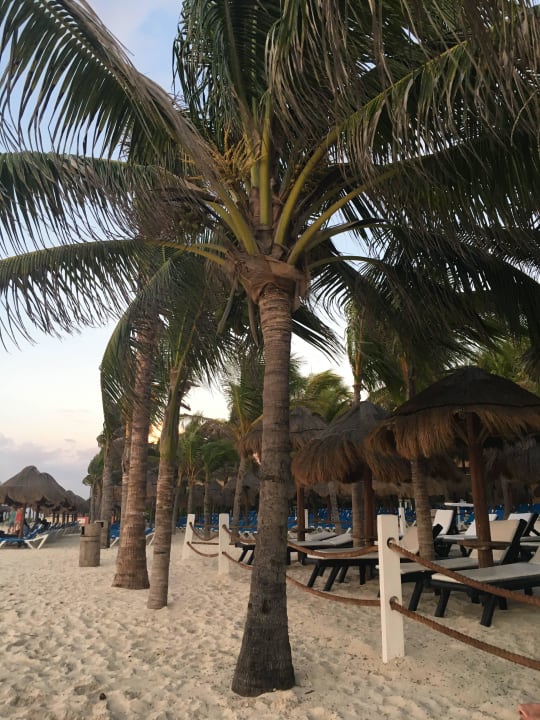 Liegen Viva Azteca by Wyndham - All Inclusive Resort