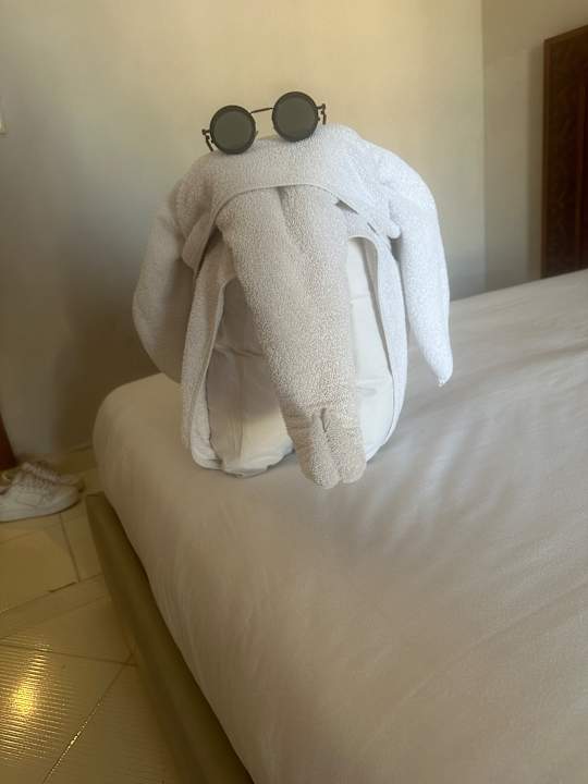 Zimmer Regina Resort and Aqua Park Hurghada