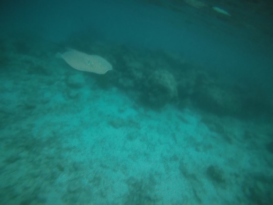 Strand NH Collection Maldives Reethi Resort