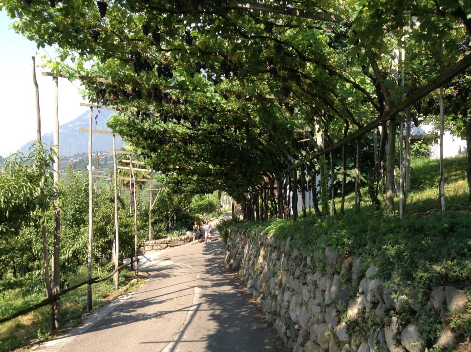 Zufahrt zur Residence Hotel Pergola Residence