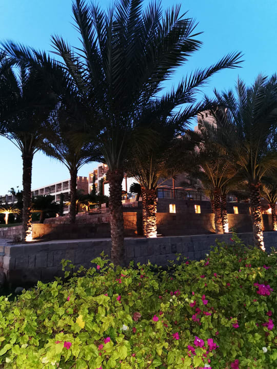 Außenansicht Fort Arabesque Resort, Spa & Villas
