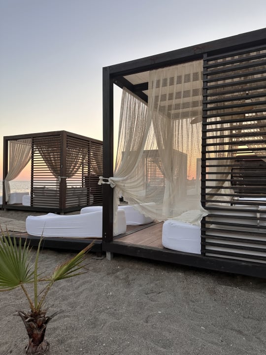 Strand TUI BLUE Palm Garden