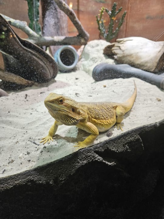 Sport & Freizeit Ferienwohnungen Ferienpark Weissenhäuser Strand