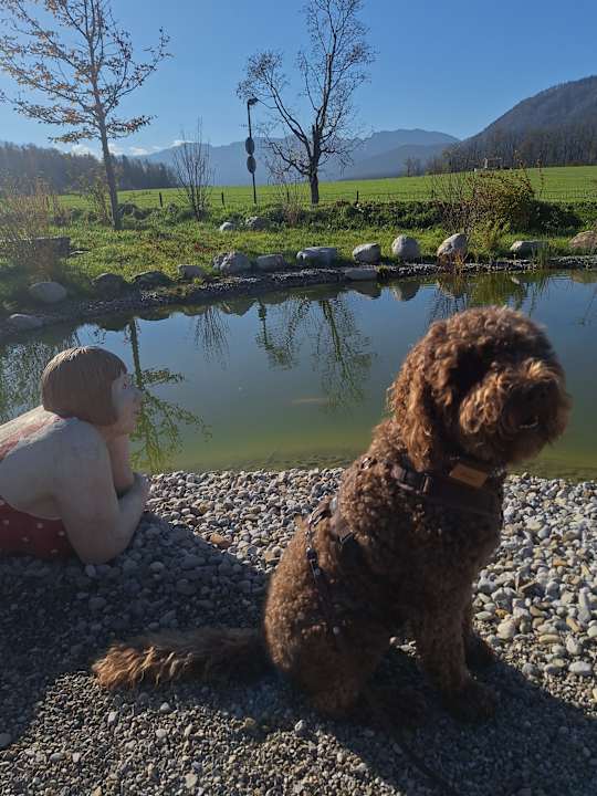 Gartenanlage Hotel BERGEBLICK