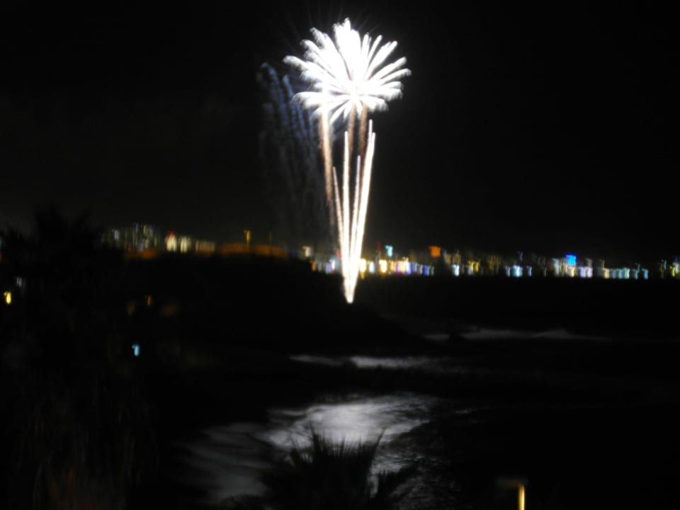 3 HOVIMA Jardin Caleta