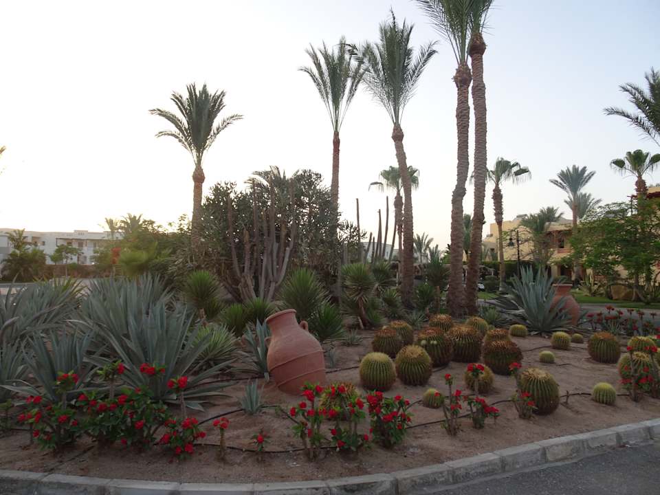 Außenansicht Steigenberger Coraya Beach - Adults only