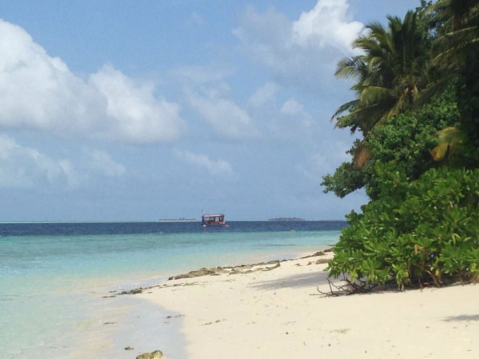 Einfach schön  Vilamendhoo Island Resort & Spa
