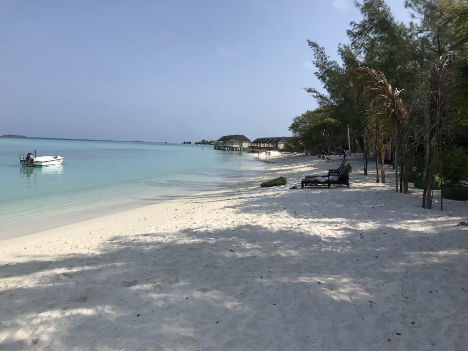 Strand Summer Island Maldives