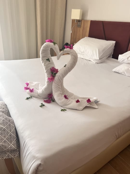 Zimmer Stella Beach Resort & Spa Makadi Bay