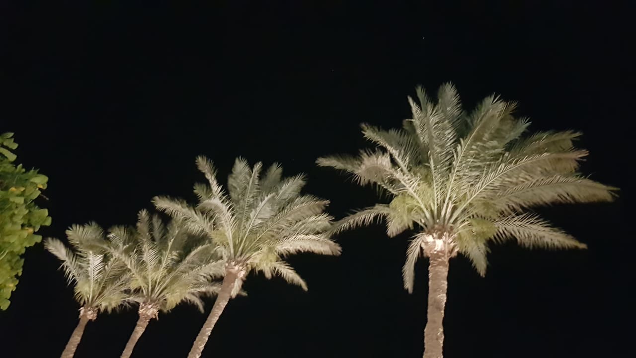 Ausblick Makadi Spa - Adults only