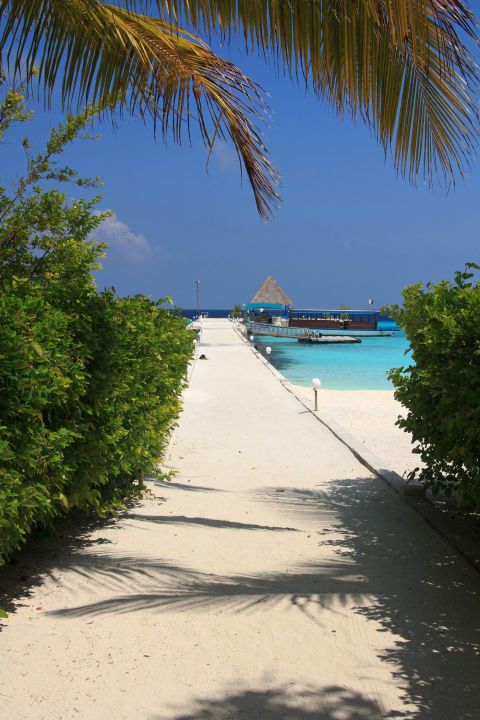 Steg Summer Island Maldives