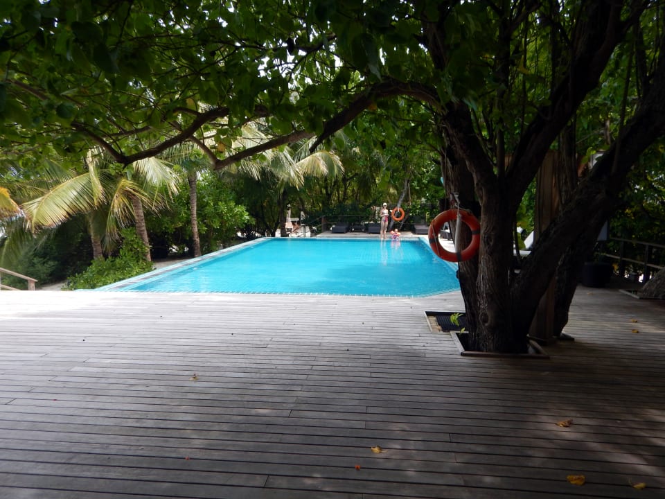 Pool Eri Maldives