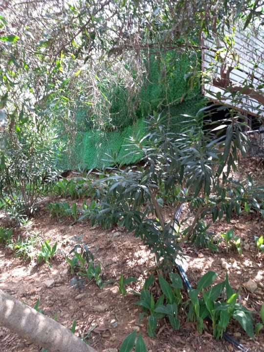 Gartenanlage Club Hotel Anjeliq