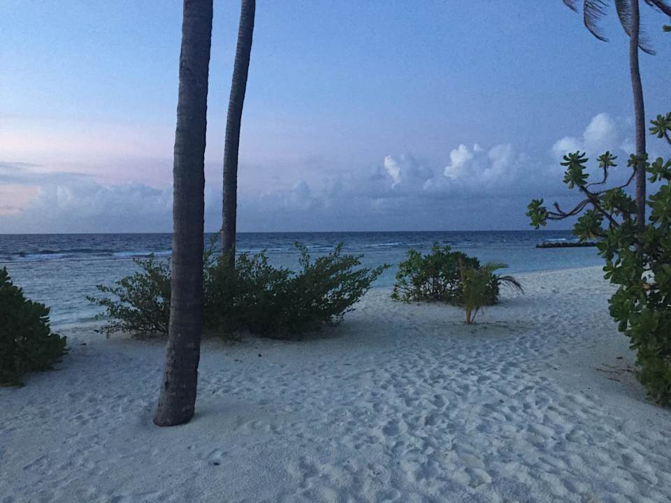 Strand Nordseite am Abend Kuredu Island Resort & Spa