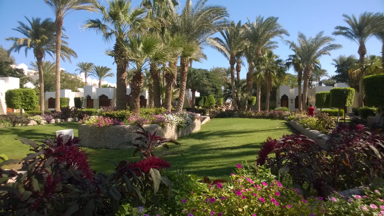 Gartenanlage Regina Resort and Aqua Park Hurghada
