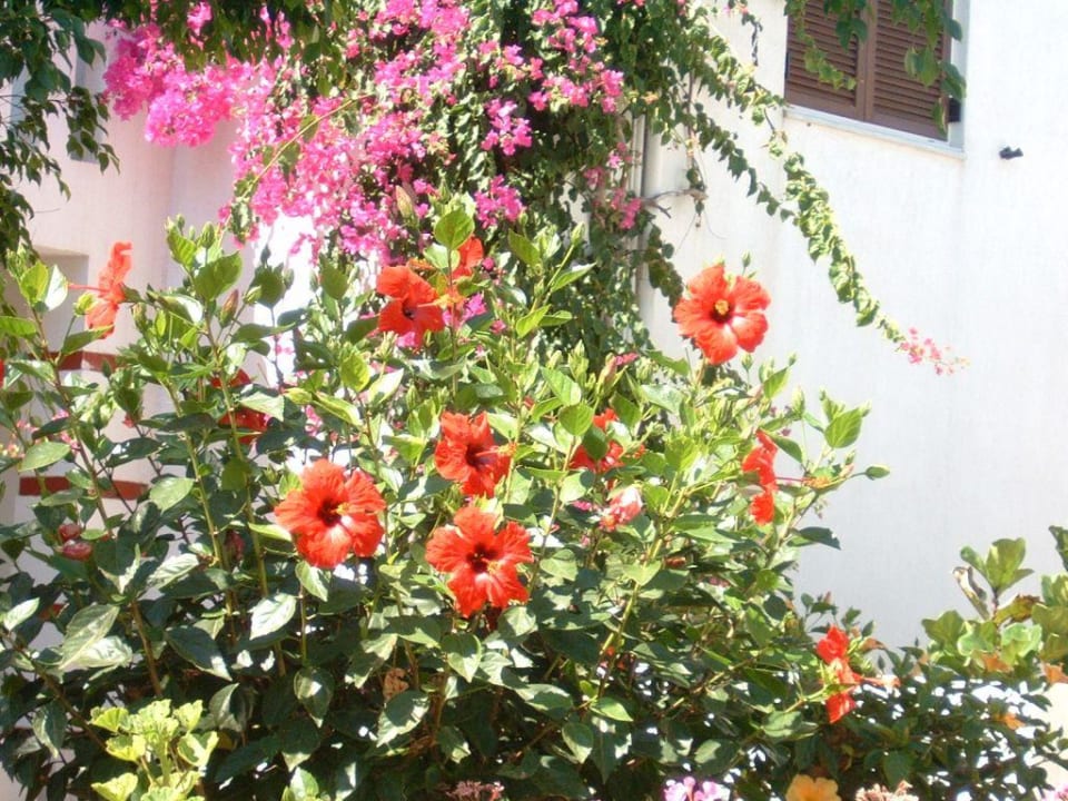 Hotelanlage Maritimo Beach Hotel