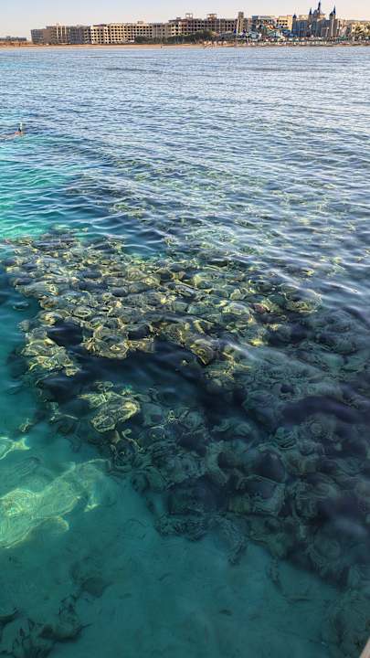 Strand Gravity Hotel & Aquapark Sahl Hasheesh