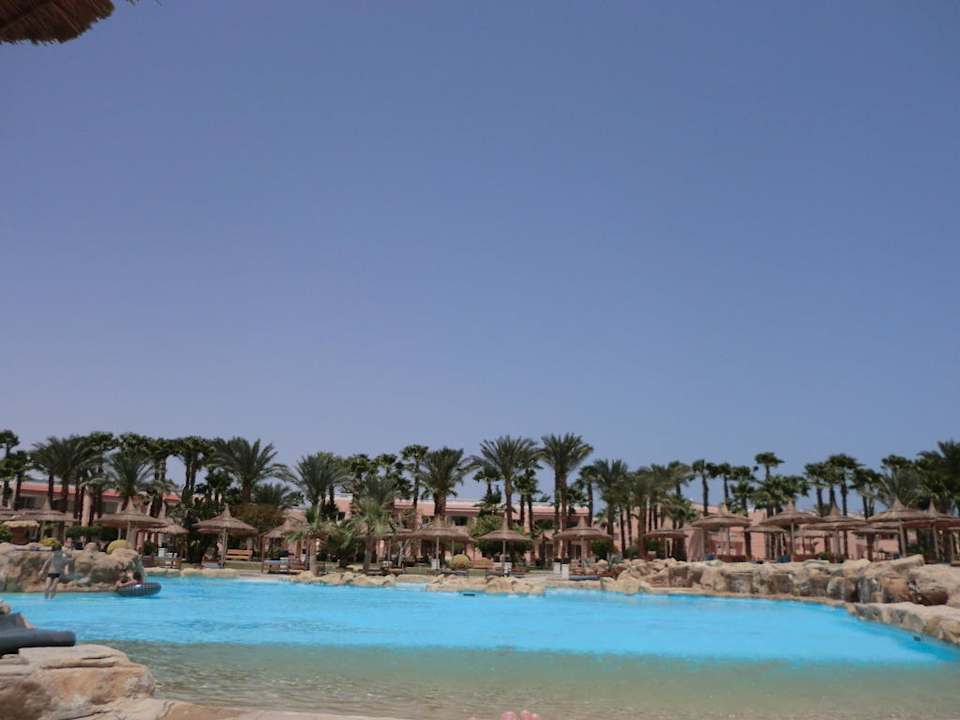 Pool Beach Albatros Resort