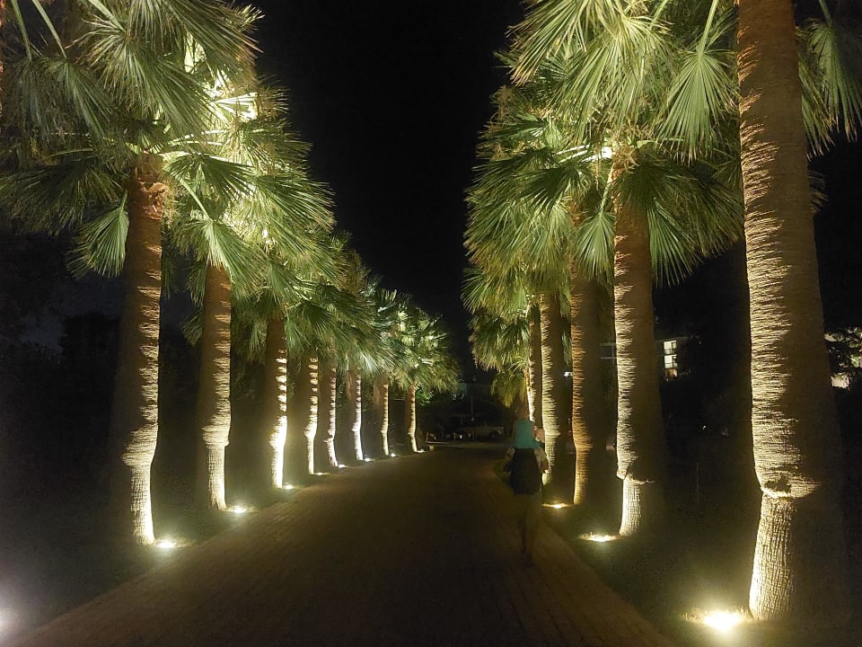 Gartenanlage Calimera Sirens Beach