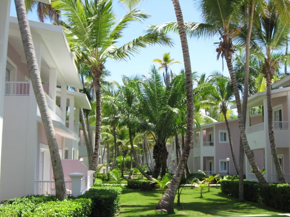 Garten und Hotelbungalows Hotel Riu Bambu
