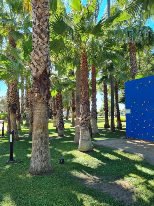 Sport & Freizeit Blue Waters Club