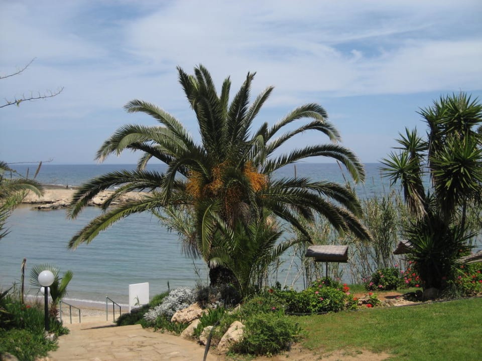 Blick vom Garten auf´s Meer Crystal Springs Beach Hotel