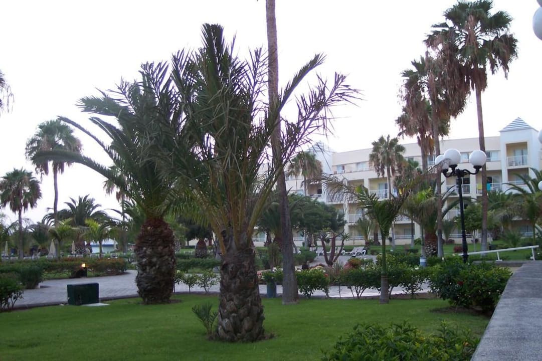 Gartenanlage des Hotels Hotel Riu Gran Canaria