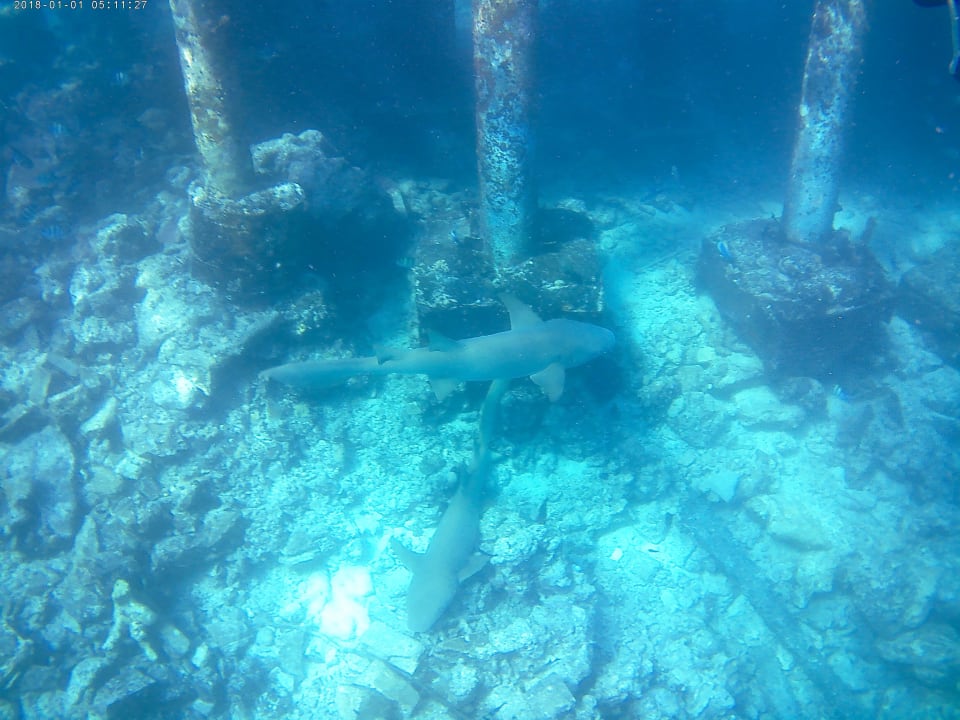 Sport & Freizeit Eri Maldives