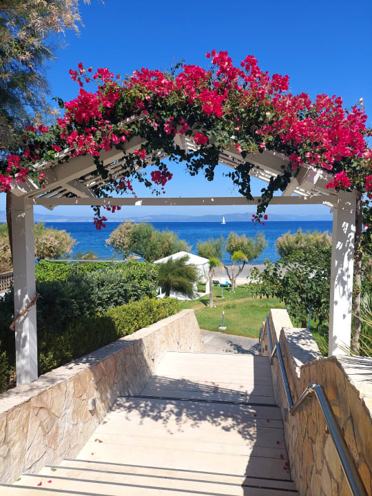 Gartenanlage TUI BLUE Oceanis Beach and Spa Resort