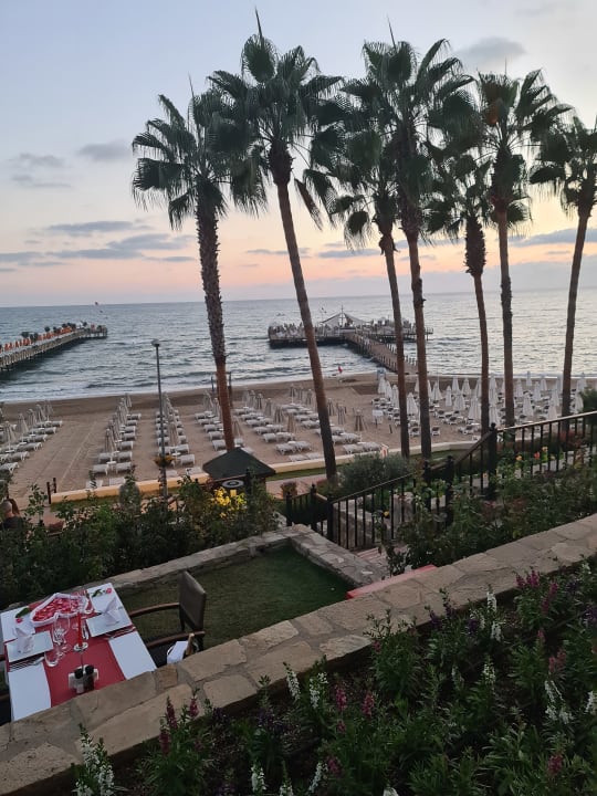 Gastro Arum Barut Collection