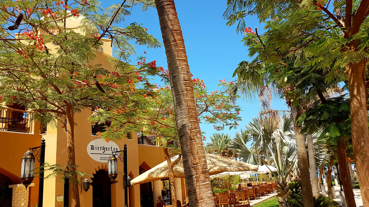 Gastro Makadi Spa - Adults only