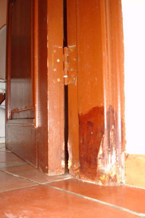 Bestpreiszimmer: Hilft Lack gegen Schimmel? TUI MAGIC LIFE Redsina Sharm El Sheikh