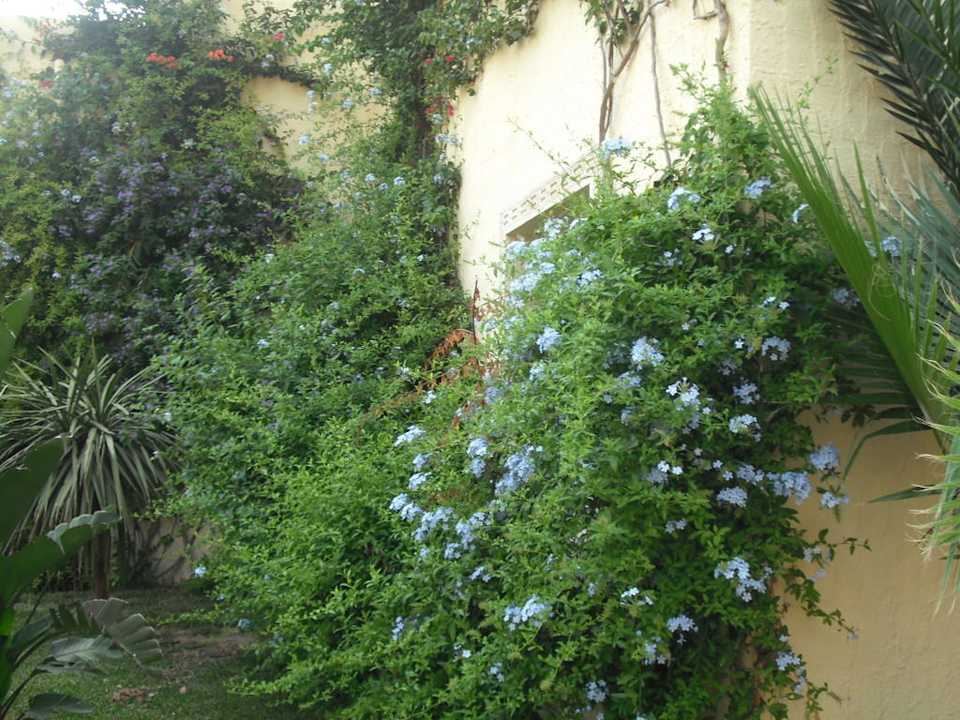 Wunderbare Gartenanlage Hotel Paradis Palace