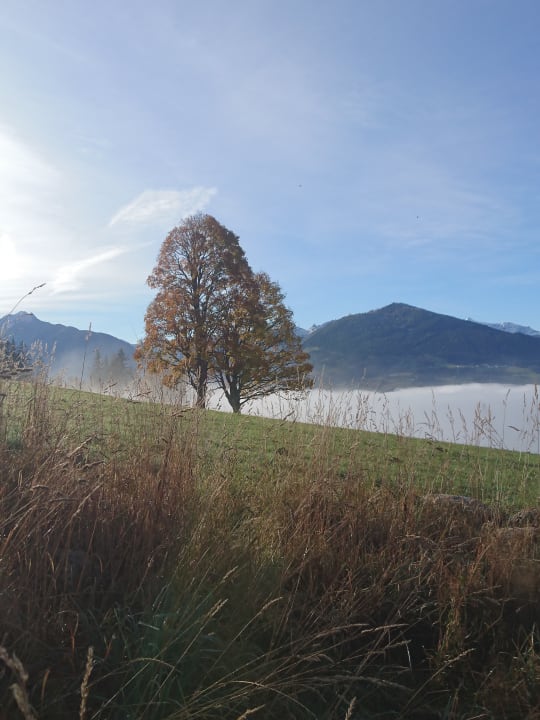 Ausblick Rittis Alpin Chalets Dachstein