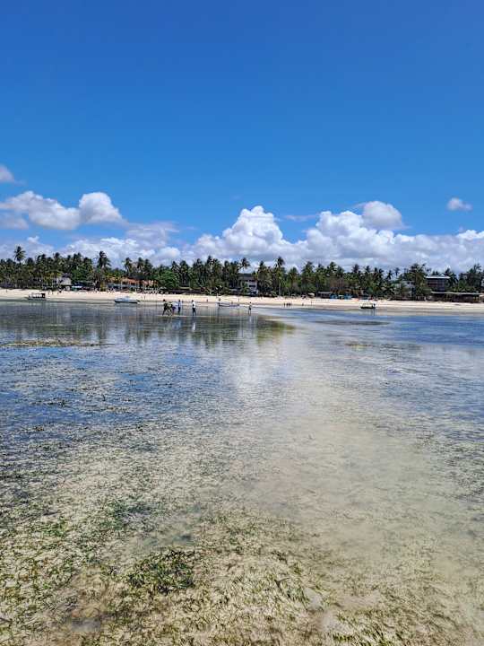Strand Hotel Mombasa Beach