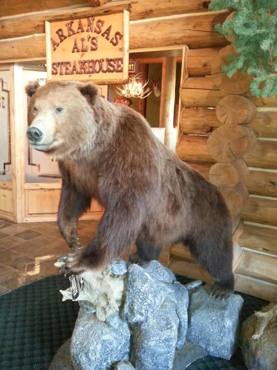 Lobby Motel Majestic View Lodge