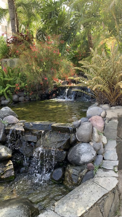 Gartenanlage allsun Hotel Lucana