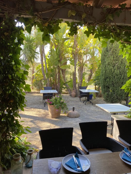 Gartenanlage Bed & Breakfast Finca Son Jorbo