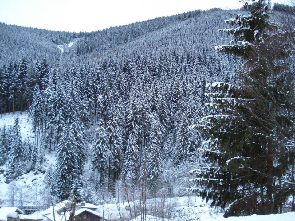 View Gartenhotel Daxer