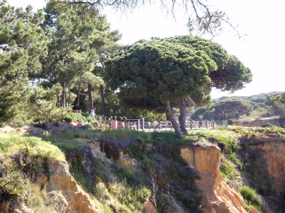 Blick vom Garten PortoBay Falésia